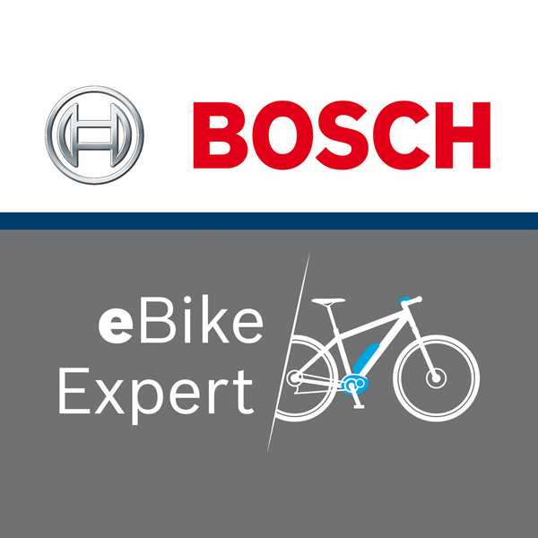 Bosch ebike diagnostic 2025